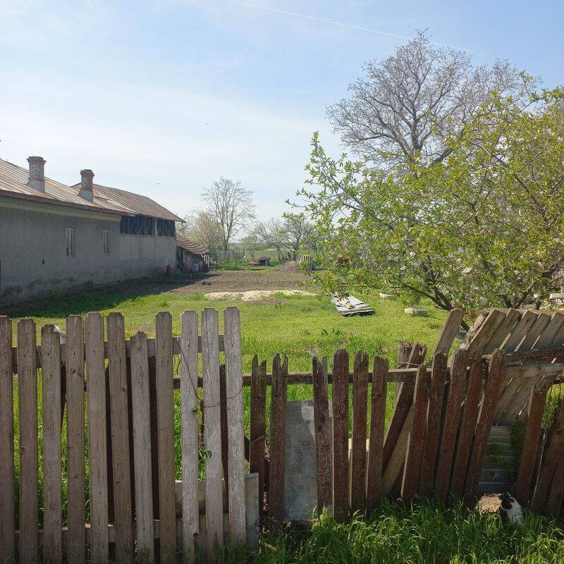 Baldana, Tartasesti, Dambovita, str. Nordului nr. 390, DN71