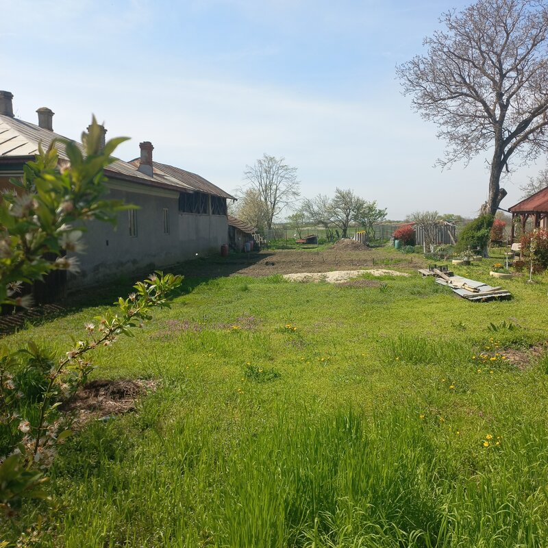 Baldana, Tartasesti, Dambovita, str. Nordului nr. 390, DN71